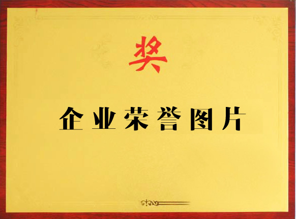 荣誉资质_复制
